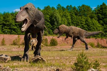 ティラノサウルス　群れ